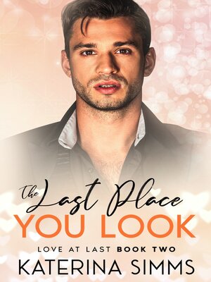 cover image of The Last Place You Look